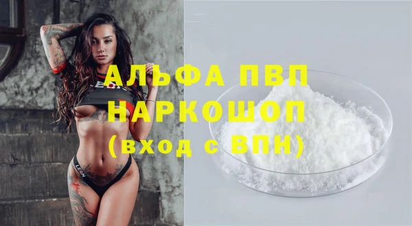 дживик Магас