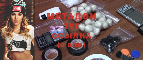 гидра Арсеньев