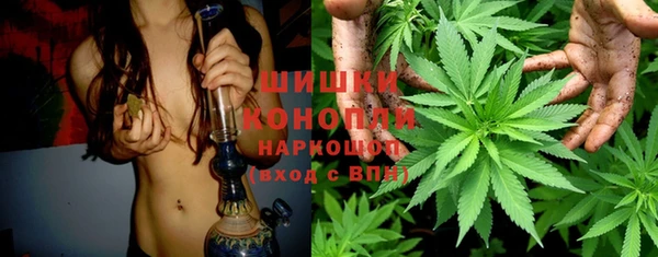 гидра Арсеньев