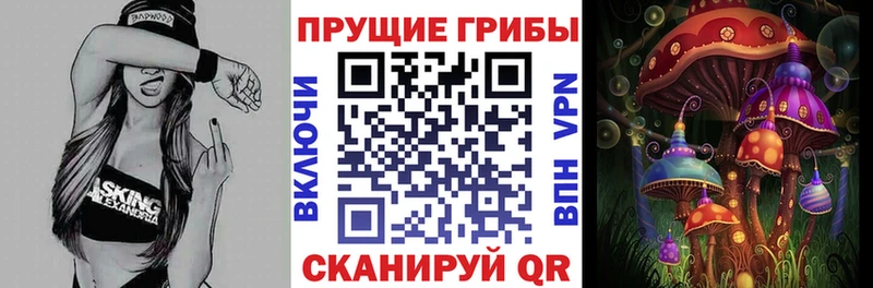 Галлюциногенные грибы MAGIC MUSHROOMS  Россошь 